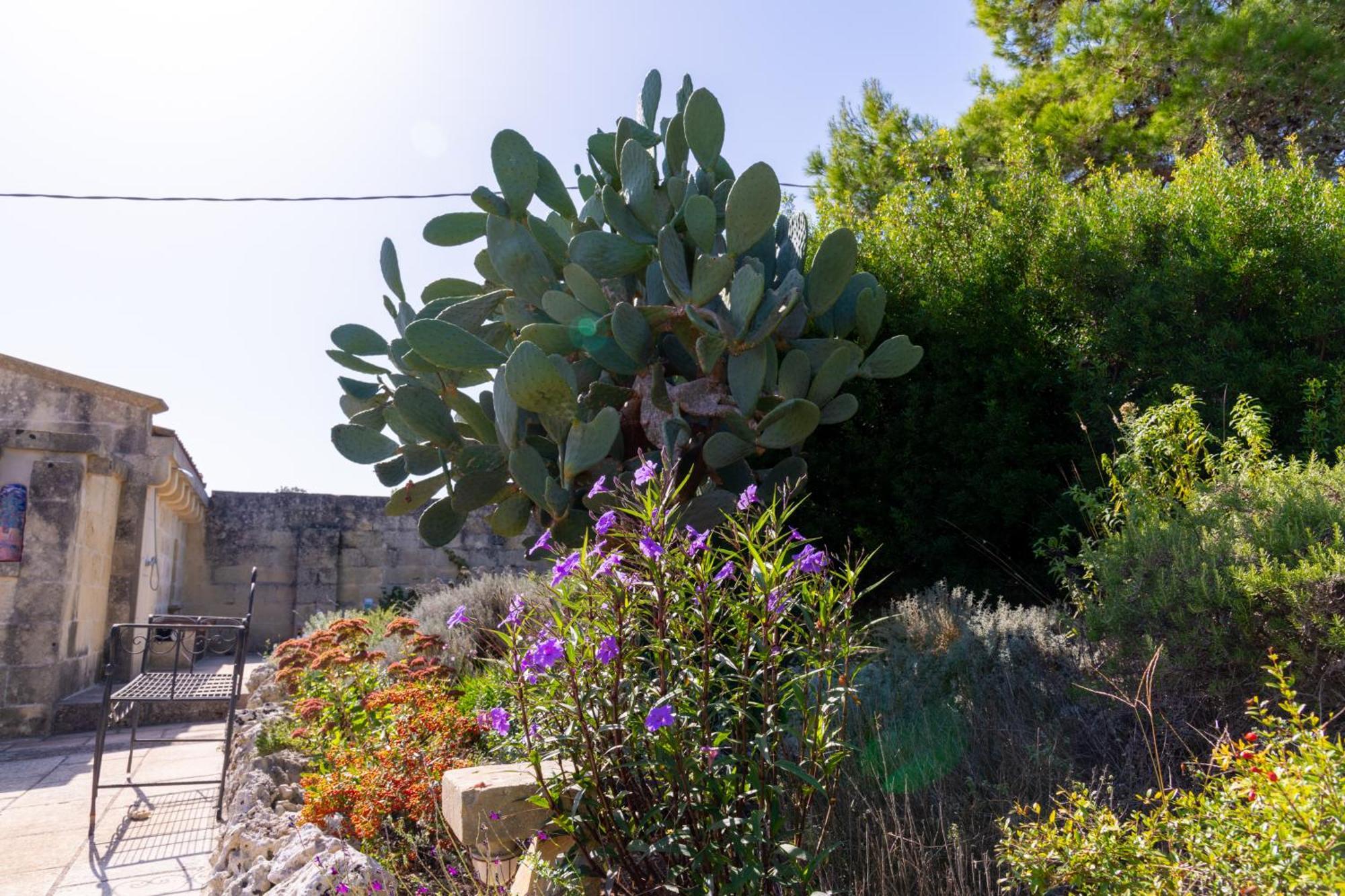 Masseria Caliani Borgagne Ngoại thất bức ảnh